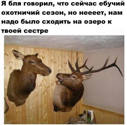 Подеградируем, побаяним...