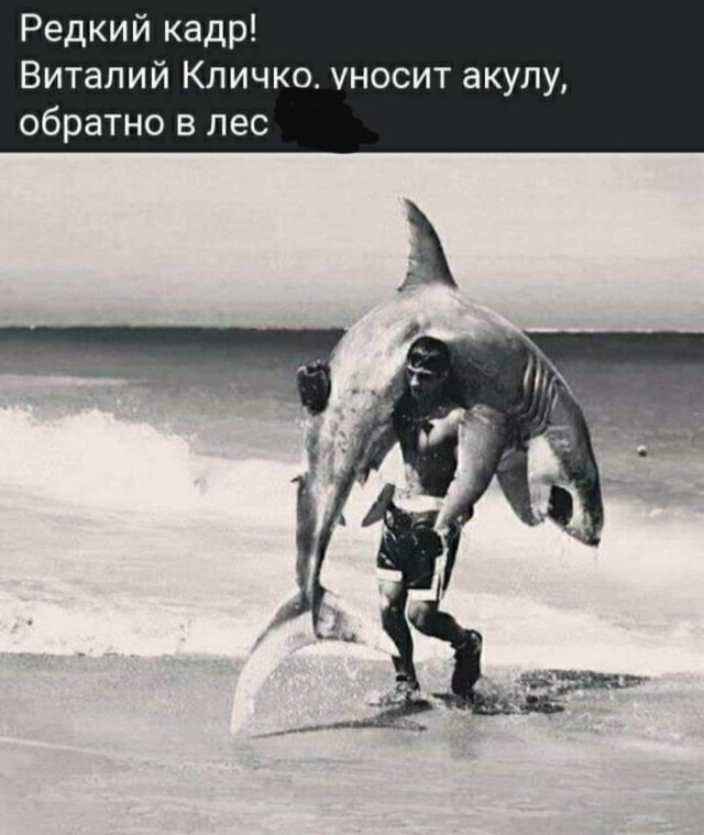 Так себе картинки 15.04.22