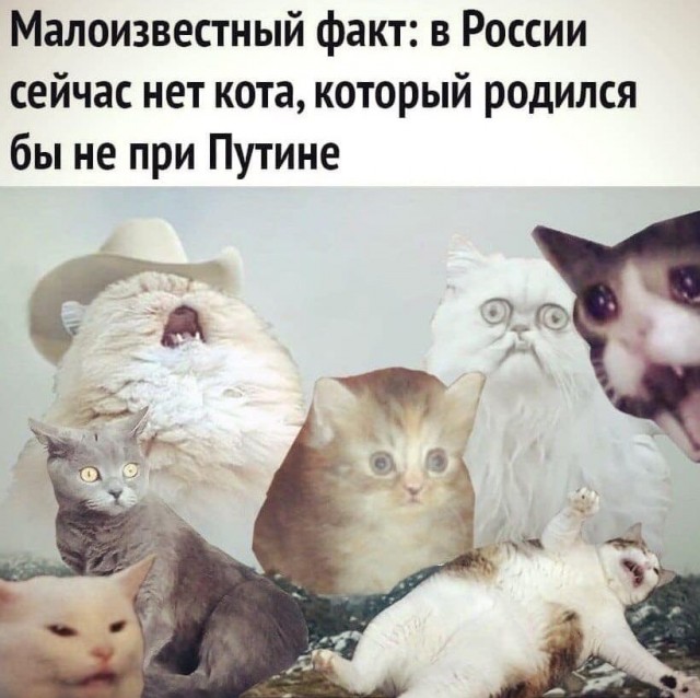 Так себе картинки 19.04.22