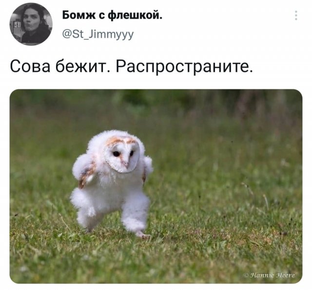 Картинки и мемы для настроения - 21