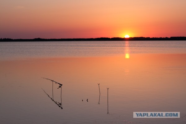 Утро на рыбалке.