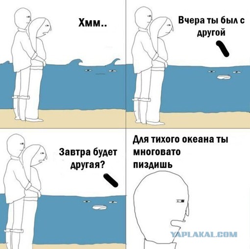 На границе Тихого океана и Атлантики у мыса Горн
