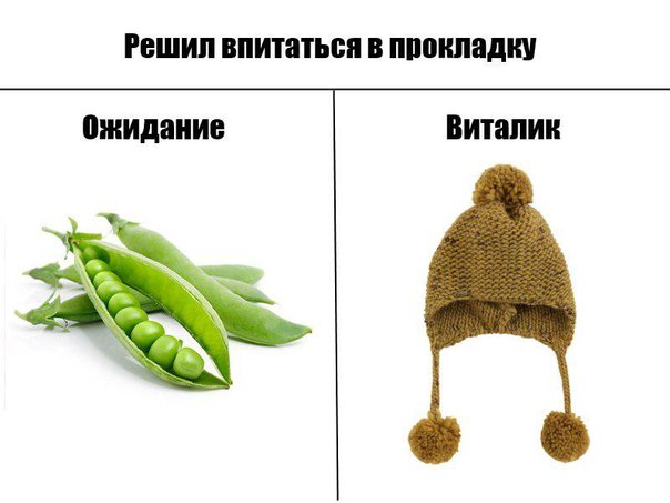 From дурдом (баяны)