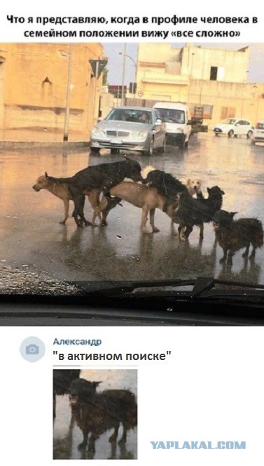 Картинки и мемы, всем хороших выходных