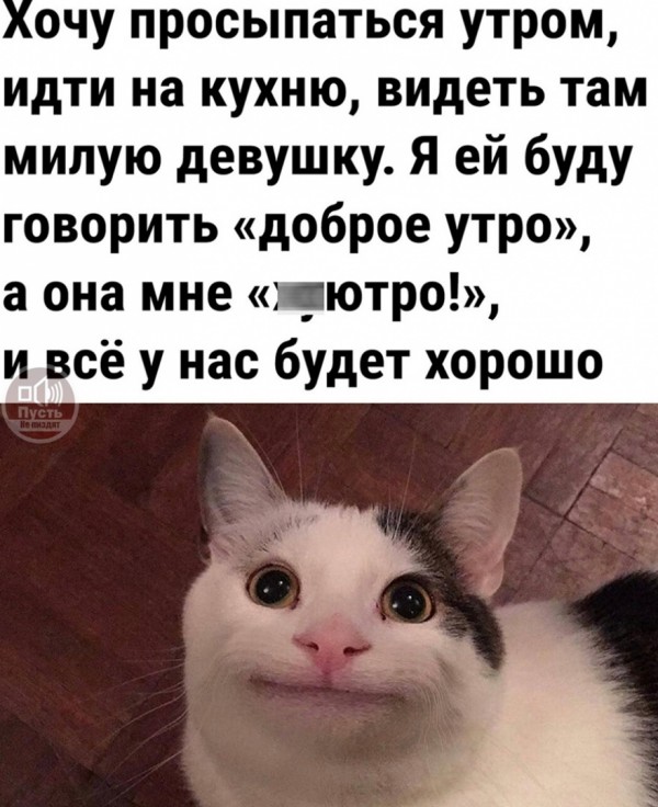 Картинки и мемы для настроения - 181