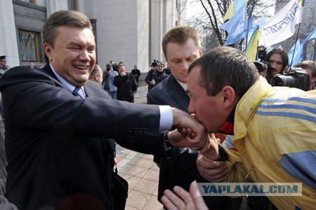 Януковичу на Винничине целуют руки