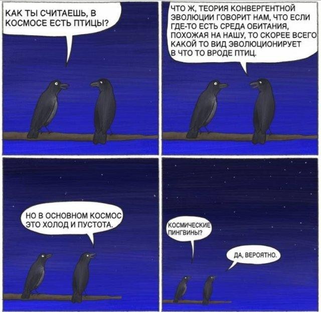 Нуштош 22.09.2023