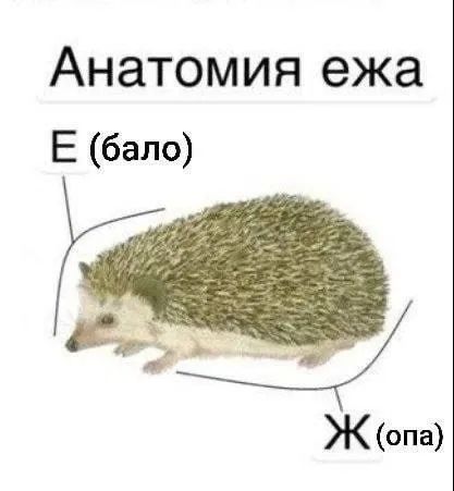Прикольные и просто красивые картинки 29.09.2023