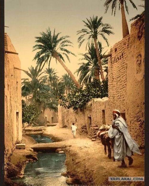 Ретро фотографии. Разное.