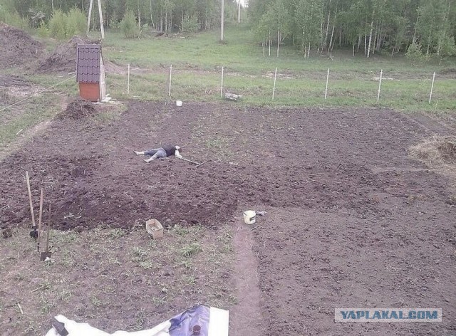 А говорили к земле привыкают...