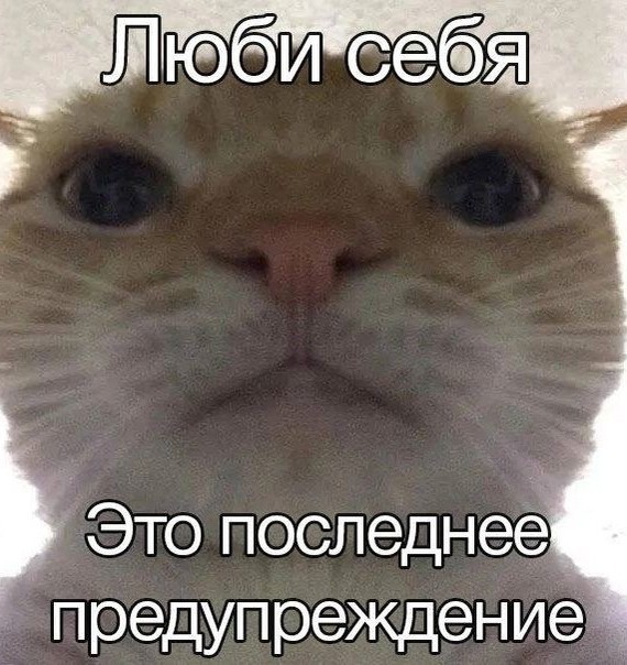 Киану Ривз сидит
