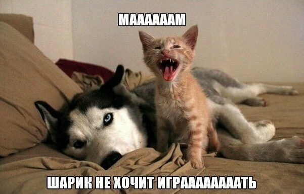 Завалялось тут случайно немного забавных картинок