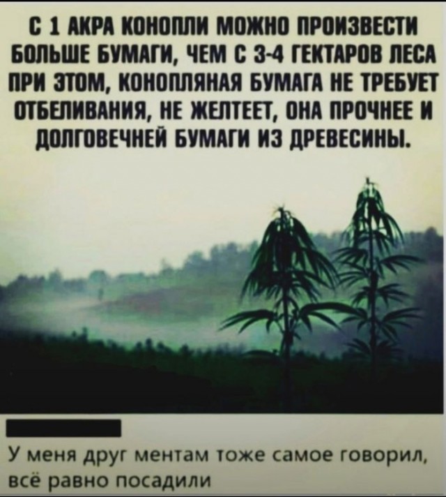 Так себе картинки 22.08.24