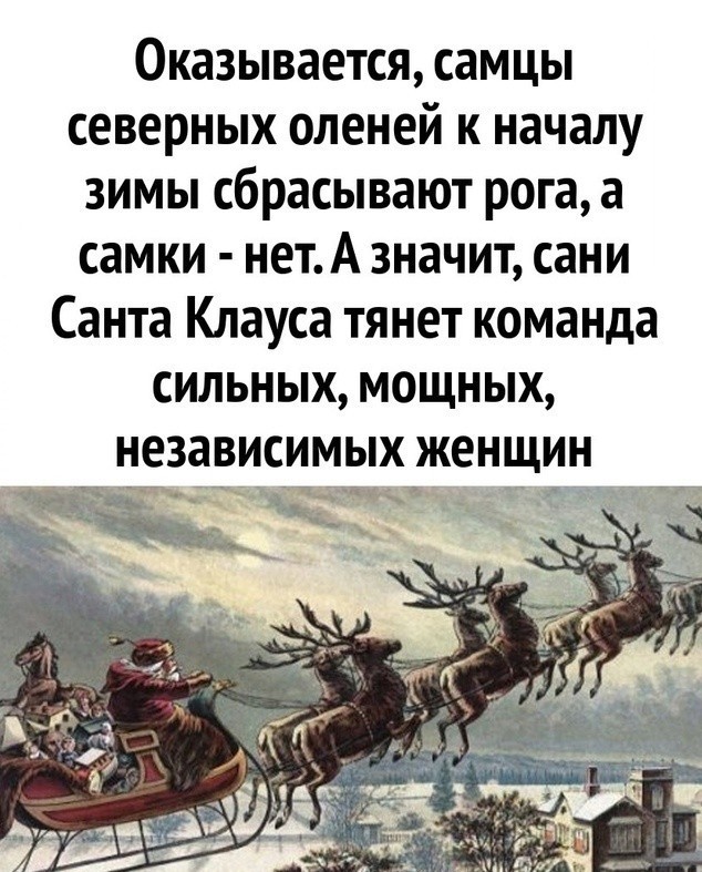 Так себе картинки 20.11.24