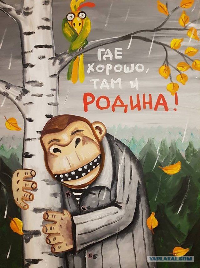 Каким никаким человеком. Каким никаким человеком. Каким никаким человеком. Каким никаким человеком. Какой никакой.