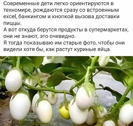 Расскажи мне про море