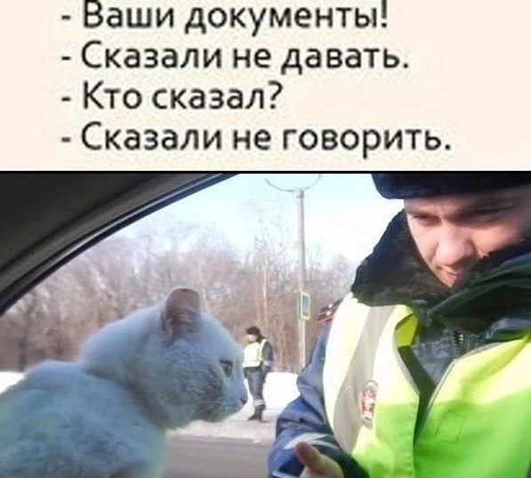 Картинки разные с надписями и без