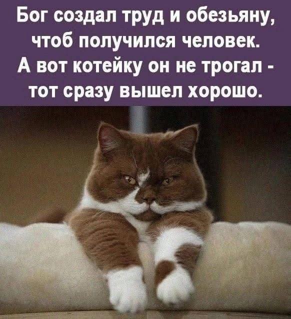 Прикольные и просто красивые картинки 06.06.2025