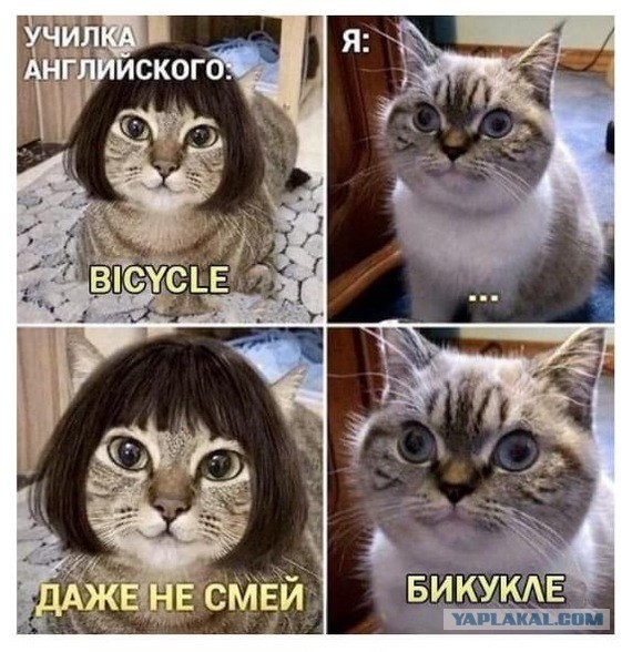 А вы знали, коллеги?