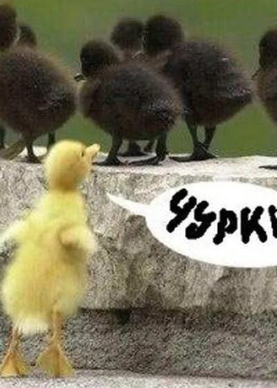 Когда зашёл не в тот квартал.