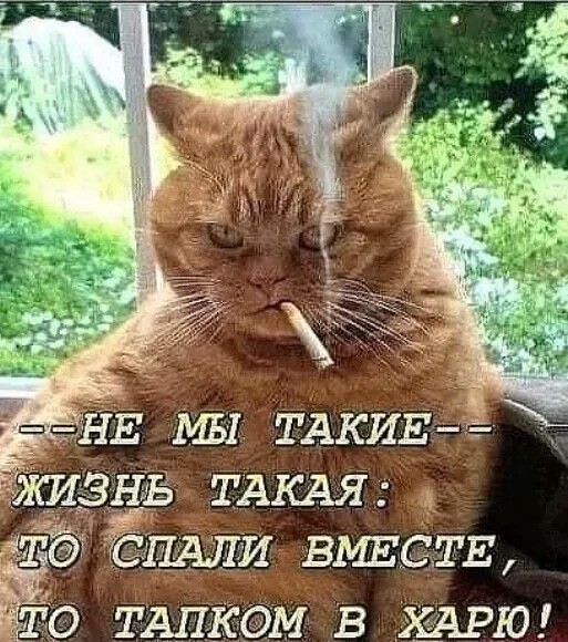 Воскресные картинки