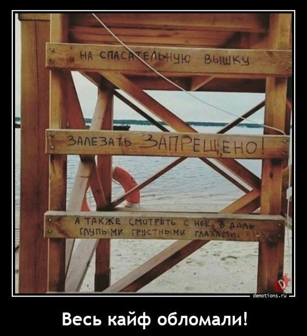 Заключительные баяны 2025