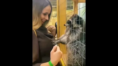 Банный день