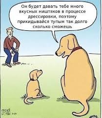 Интересный метод обучения команды "голос"