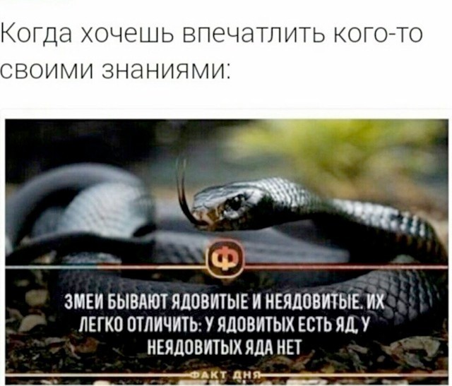 Картинки для деградации 251 (разной степени свежести)