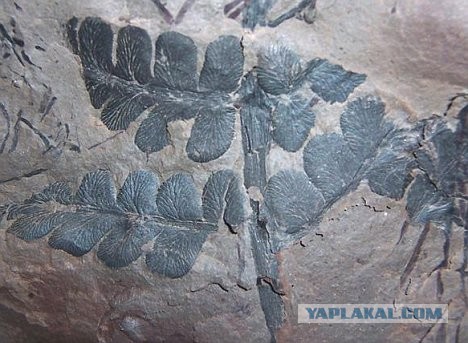 Скрываемые артефакты