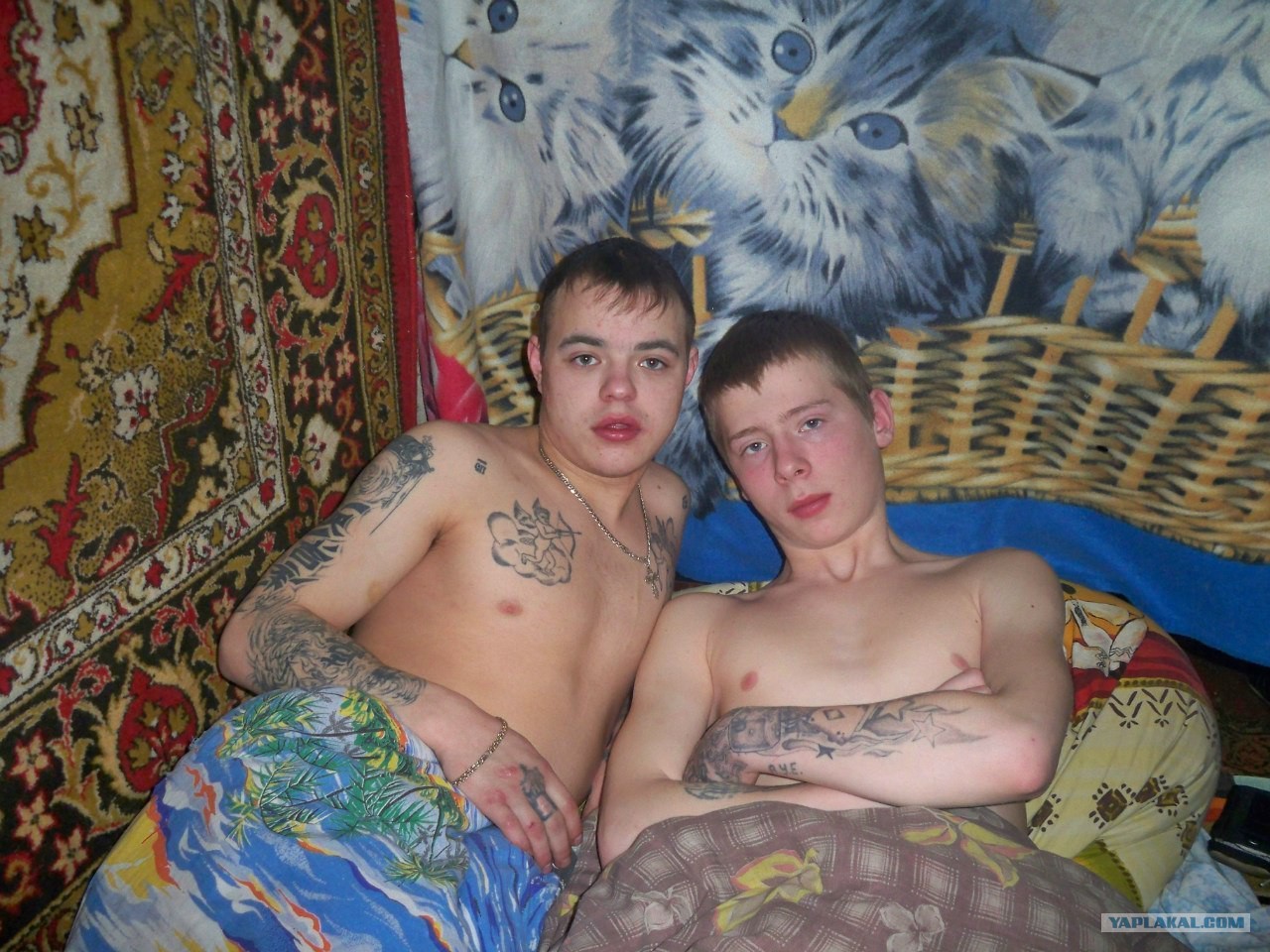 Даже Указал гей социальная сеть gey-sotsialnaya-set
