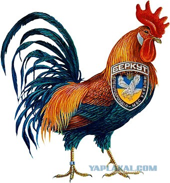 Люди встречают "Беркут". Донецк