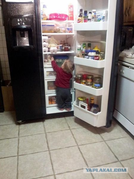 Смешное из соц сетей