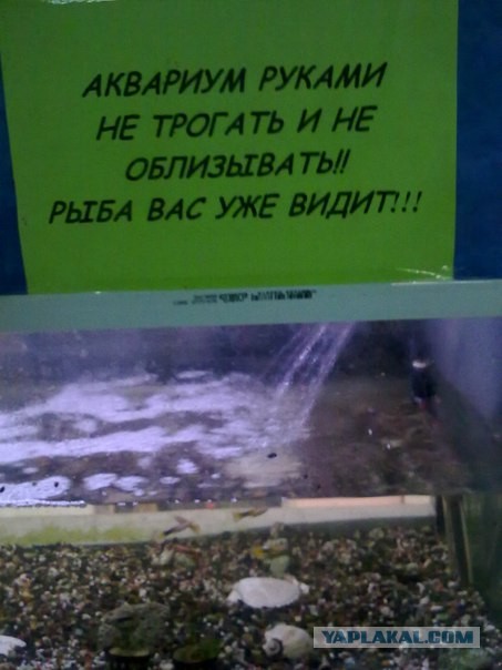 Мой Нижневартовск!