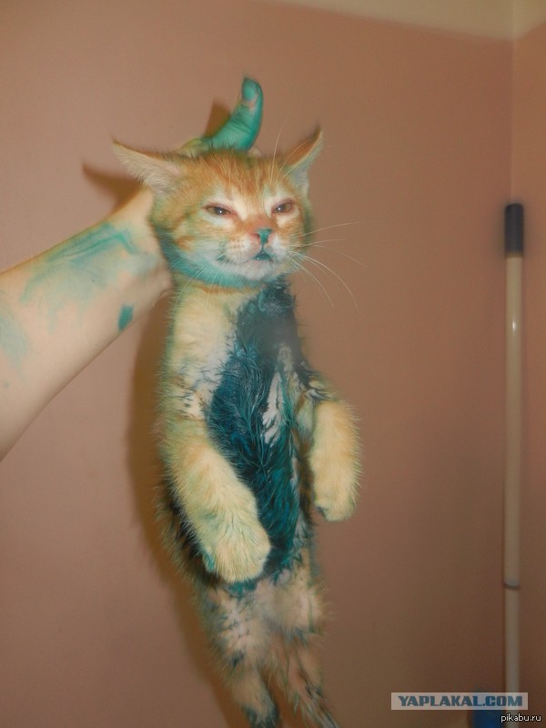 Плюсомет со шпалометом