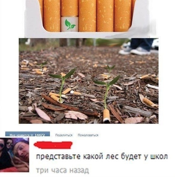 Смешные картинки