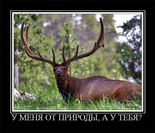 Самая честная девушка планеты