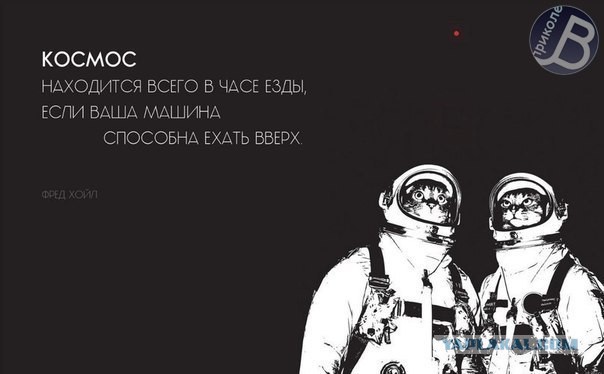Известные котомемы.