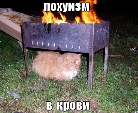 Вторник-повторник