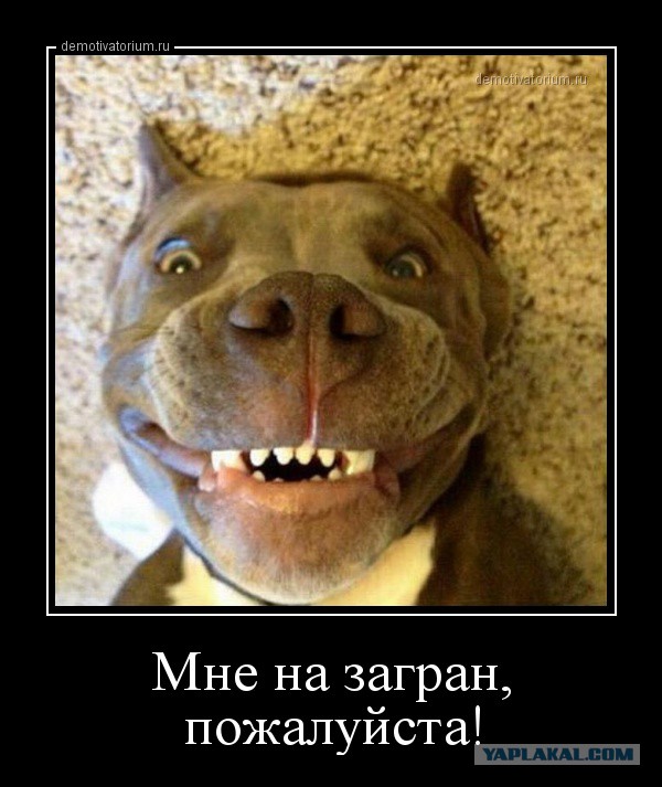 В погоне за ЮКой