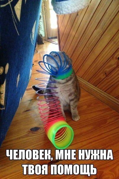 Картинки на субботу