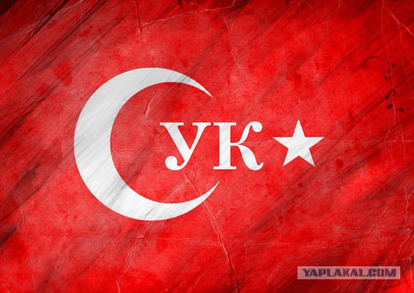 Яков Кедми развернуто по сбитому самолету