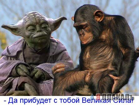 Грустный самец