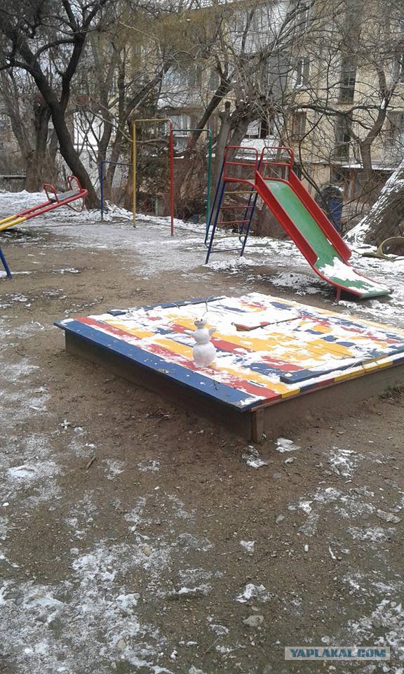 Весёлые картинки