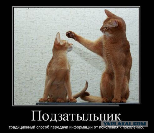 Липецкие родители пожаловались на школьные вечеринки в клубах