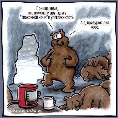 Все о МЕДВЕДЯХ