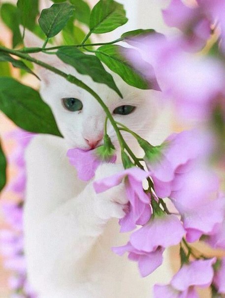 Подборка картинок