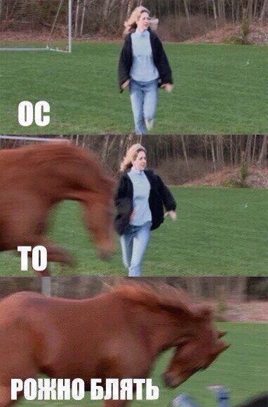 Небольшой микс картинок и гифок