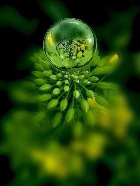 Интересные и веселые картинки