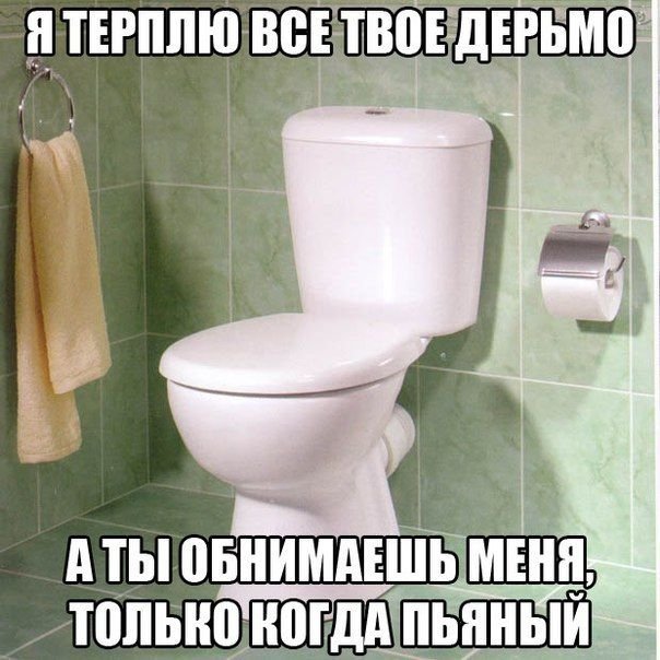 Весёлые картинки для настроения